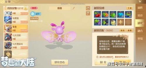 寻梦最新爆料消息,神秘新角色揭秘，剧情走向再引热议
