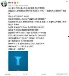 娱乐圈汇总爆料事件,揭秘明星背后的真相与争议