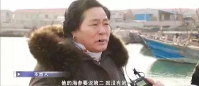 爆料大王海参哥视频大全,揭秘网红海参哥的爆笑瞬间与生活点滴