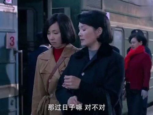 带妈妈回家在线观看,温情回忆与亲情之旅